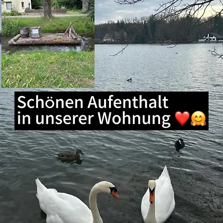 Memmingenbuxheimkartause *